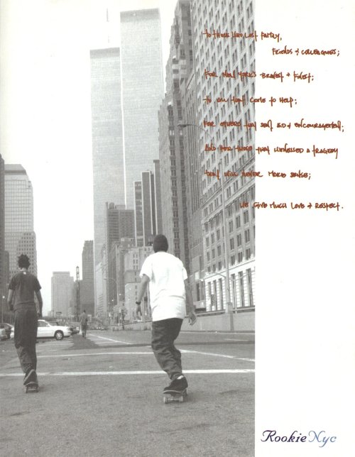 Twin Towers, Rookie (2001)