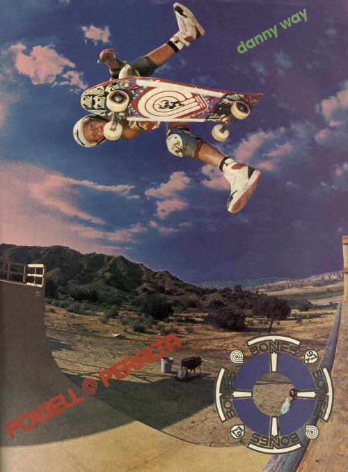 Danny Way, Powell Peralta (1989)